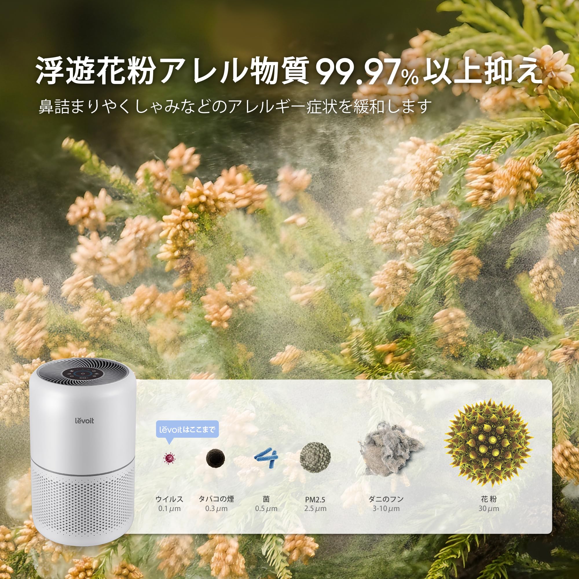 ソンべ焼き ライテウ焼き ベトナム 花柄陶器皿5枚セット 取り皿 中皿